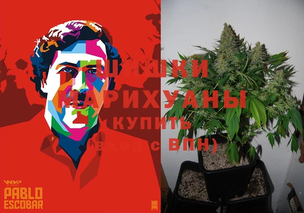прущая мука Белокуриха
