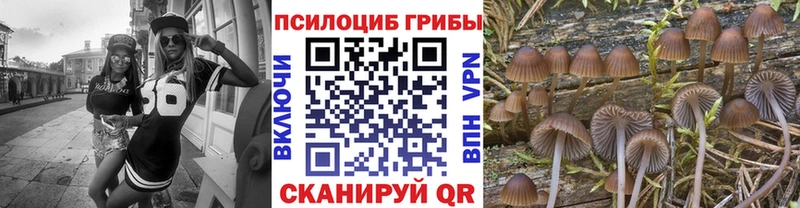 Галлюциногенные грибы прущие грибы  купить наркотики цена  Белоярский 